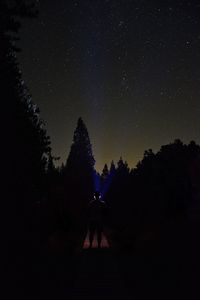 Silhouette person standing by tree against sky at night