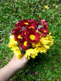 Close-up of hand holding yellow flowers