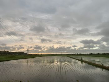 Scenic view of agricultural field against sky