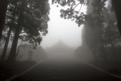 Road amidst trees against sky