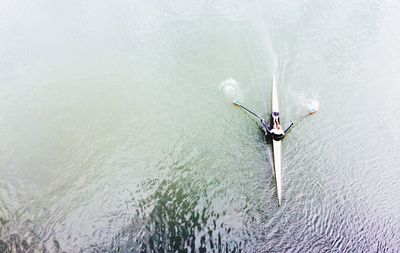 Directly above shot of person on kayak in sea