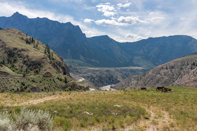 Scenic view of landscape against sky