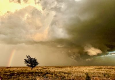 Scenic view of field against sky