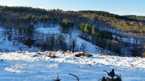 Scenic view of snow covered mountain