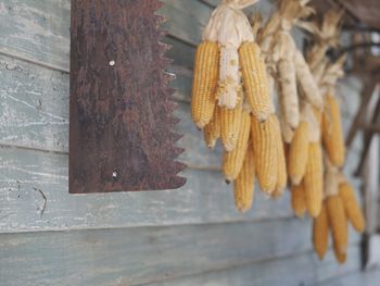 Close-up of dried hanging outdoors