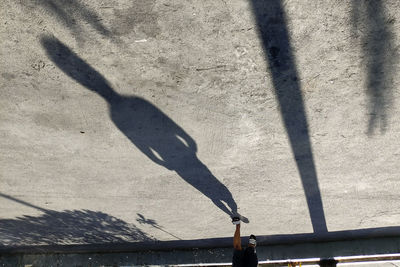 Shadow of a bird on wall