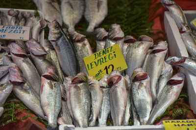 Fish for sale at market stall