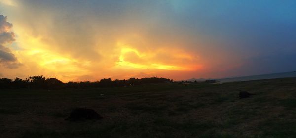 Scenic view of silhouette field against sky during sunset