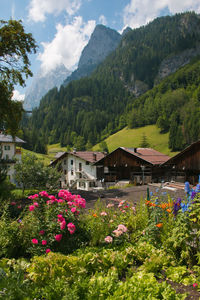 Scenic view of flowering plants and houses against mountains
