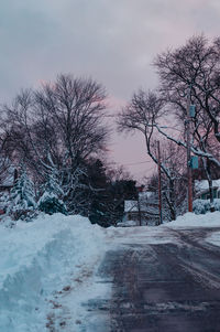 Bare trees on snow covered road against sky