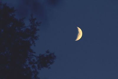 Low angle view of moon in sky at night