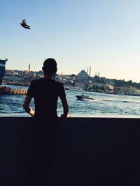 Rear view of a bird flying over water