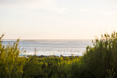 Scenic view of sea against sky