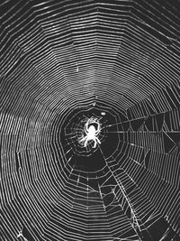 Full frame shot of pattern