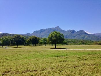 Scenic view of field and mountains against clear blue sky