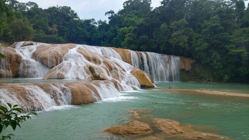 Scenic view of waterfall in forest