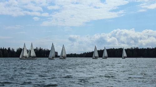 Sailboats sailing in sea against sky