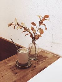 Close-up of potted plant on table