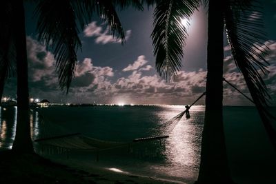 Silhouette palm trees by sea against sky at night