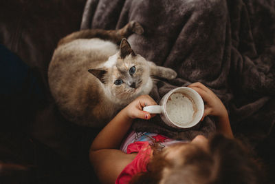 Directly above shot of girl holding mug with cat at home