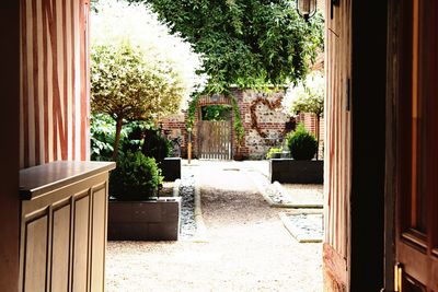 Potted plants on the wall