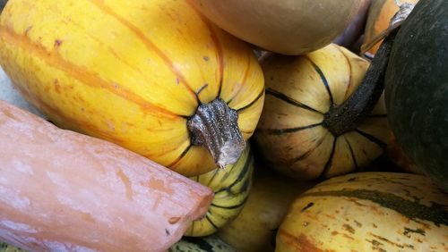 Close-up of squashes for sale at market
