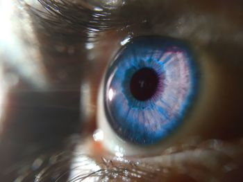 Close-up of blue eye