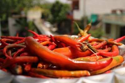 Close-up of red chili peppers in plate on table