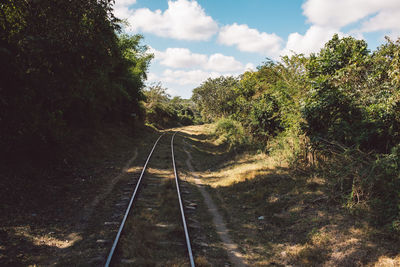 Railroad tracks amidst trees against sky