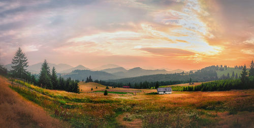 Scenic view of field against sky during sunset