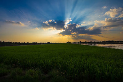 Scenic view of field against sky during sunset