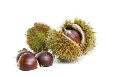 Close-up of fruits against white background