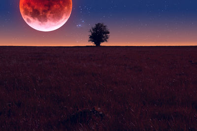 Scenic view of field against sky at night