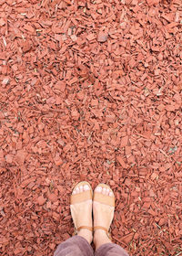 Low section of person standing on cobblestone street