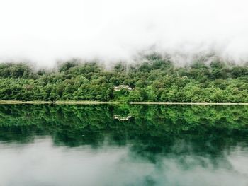 Scenic view of lake with trees in background