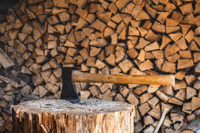 Stack of logs in forest