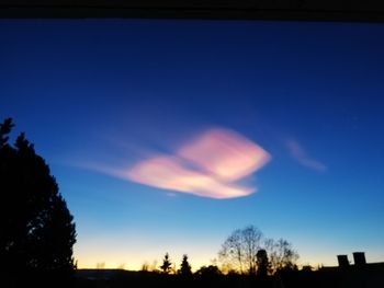 Low angle view of silhouette trees against sky at sunset