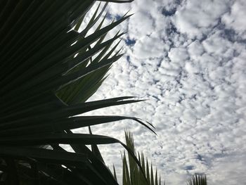 Low angle view of trees against cloudy sky