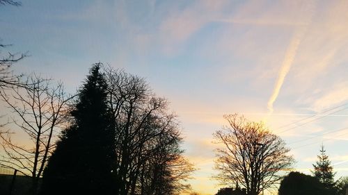 Low angle view of silhouette trees against sky