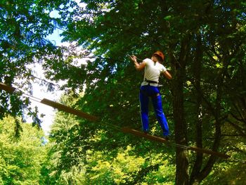 Low angle view of man standing on tree in forest