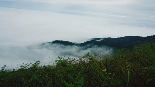 Scenic view of landscape against sky