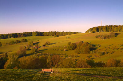 Scenic view of landscape against clear sky