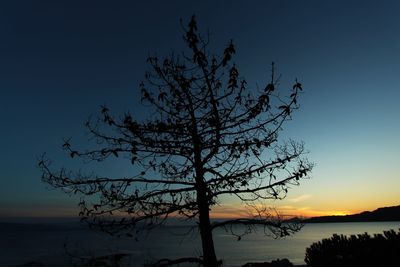 Silhouette bare tree by lake against sky during sunset