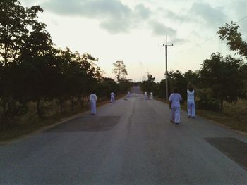 Road passing through forest