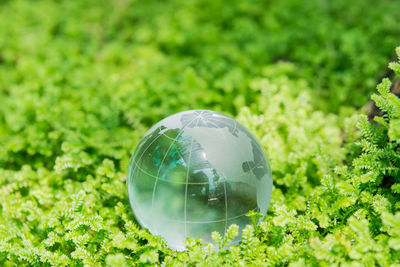 Close-up of glass ball on grass