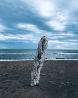 Driftwood on beach against sky