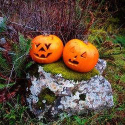 Halloween pumpkin on field