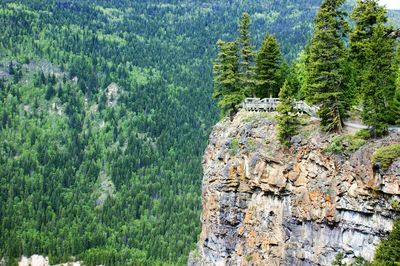 View of trees and rocks