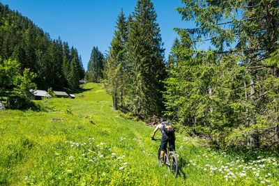 Woman mountain biking on footpath through alpine meadow, salzburg, austria