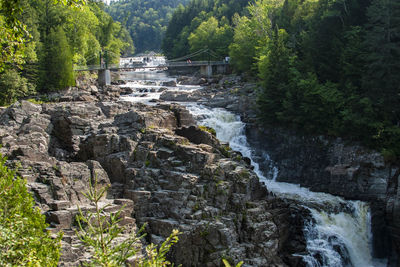 Stream flowing through rocks in forest